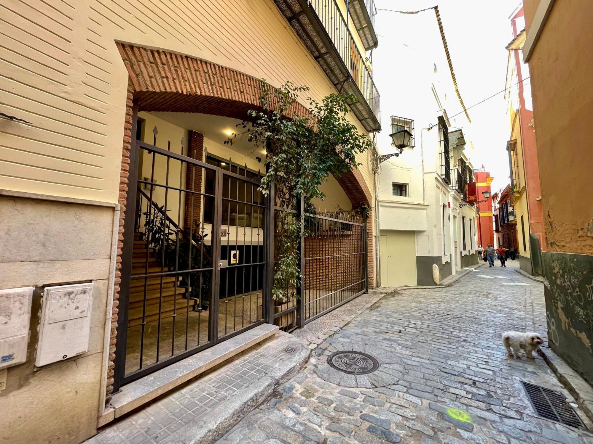 Eva Recommends Catedral Confort إشبيلية المظهر الخارجي الصورة